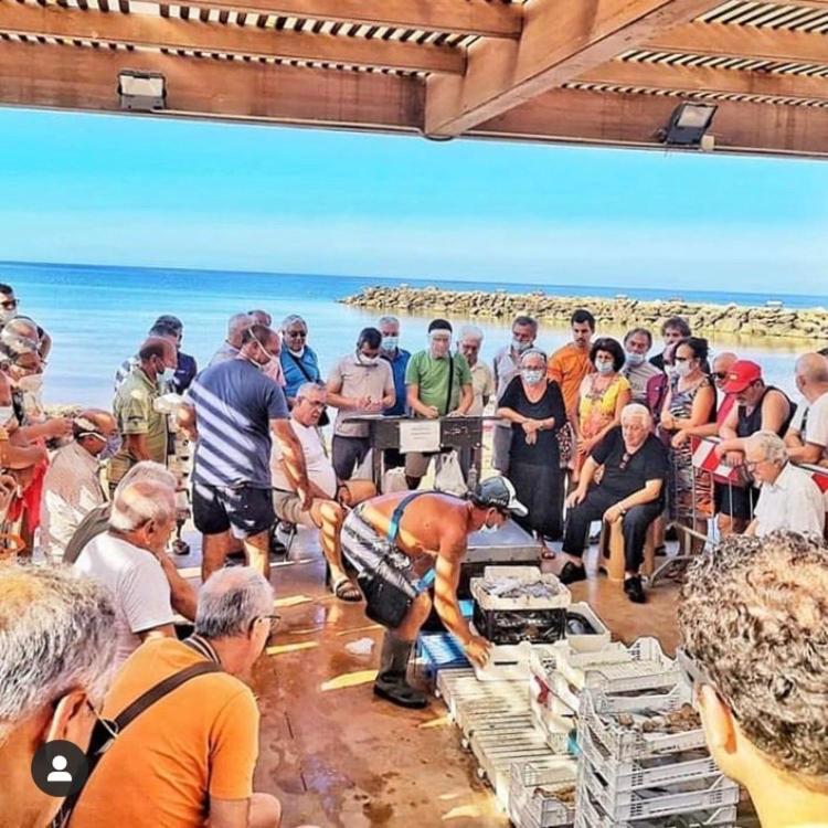 מרינלה דו סלינונטה La Terrazza Sul Mar Mediterraneo מראה חיצוני תמונה